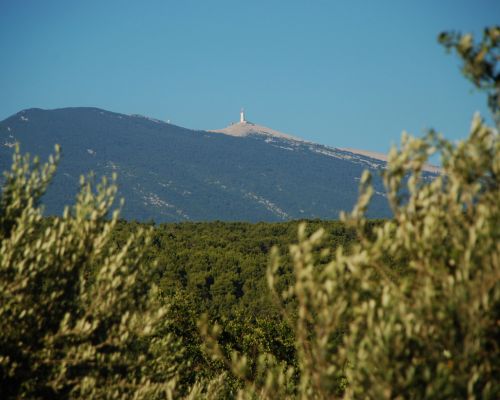 vue sur le Mont-Ventoux